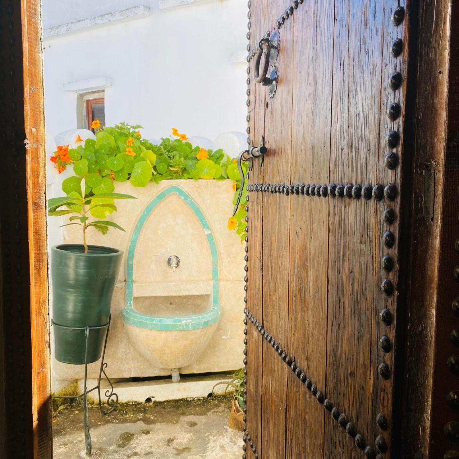 Dar Alma - Oasis De Luz Y Arte En La Kasbah *